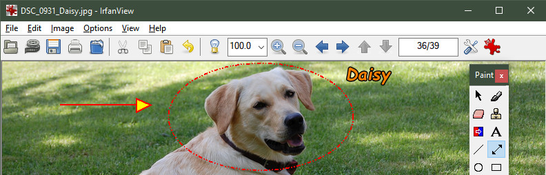IrfanView Screenshot 1