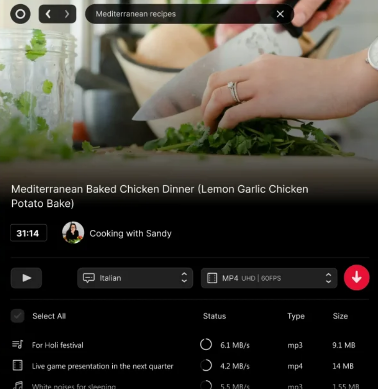 Free YouTube Downloader - Viddly Screenshot 1